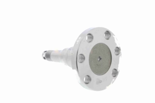 Achszapfen Hinterachse